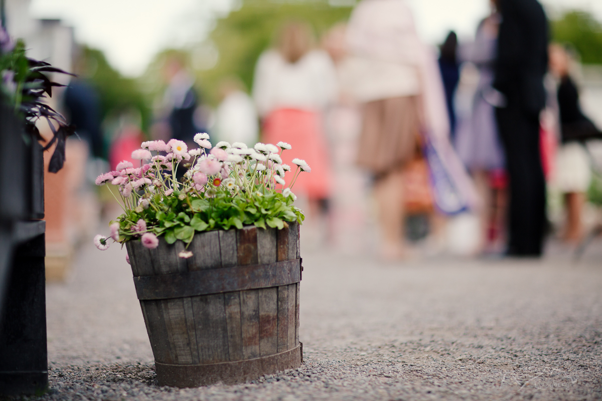 Mikael & Erika - Wedding at Rosendals trädgård